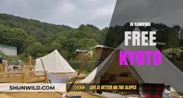Is Camping Free in Kyoto? Exploring Options and Regulations