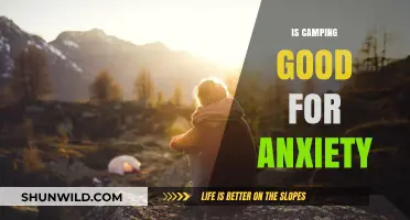 Camping and Anxiety: Nature’s Healing Power for Mental Well-Being