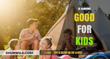 Camping Benefits for Kids: Outdoor Adventures and Family Bonding Explored