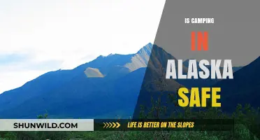 Is Camping in Alaska Safe? Essential Tips for a Secure Adventure