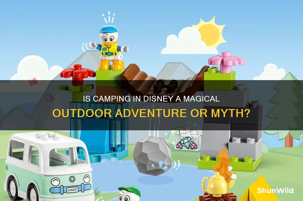 is camping in disney