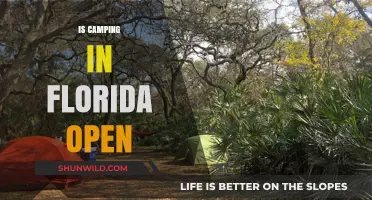 Is Camping in Florida Open? Current Status and Updates for Campers