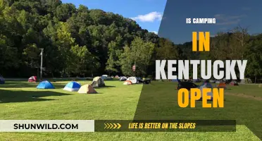 Is Camping in Kentucky Open? Current Status and Updates for Campers