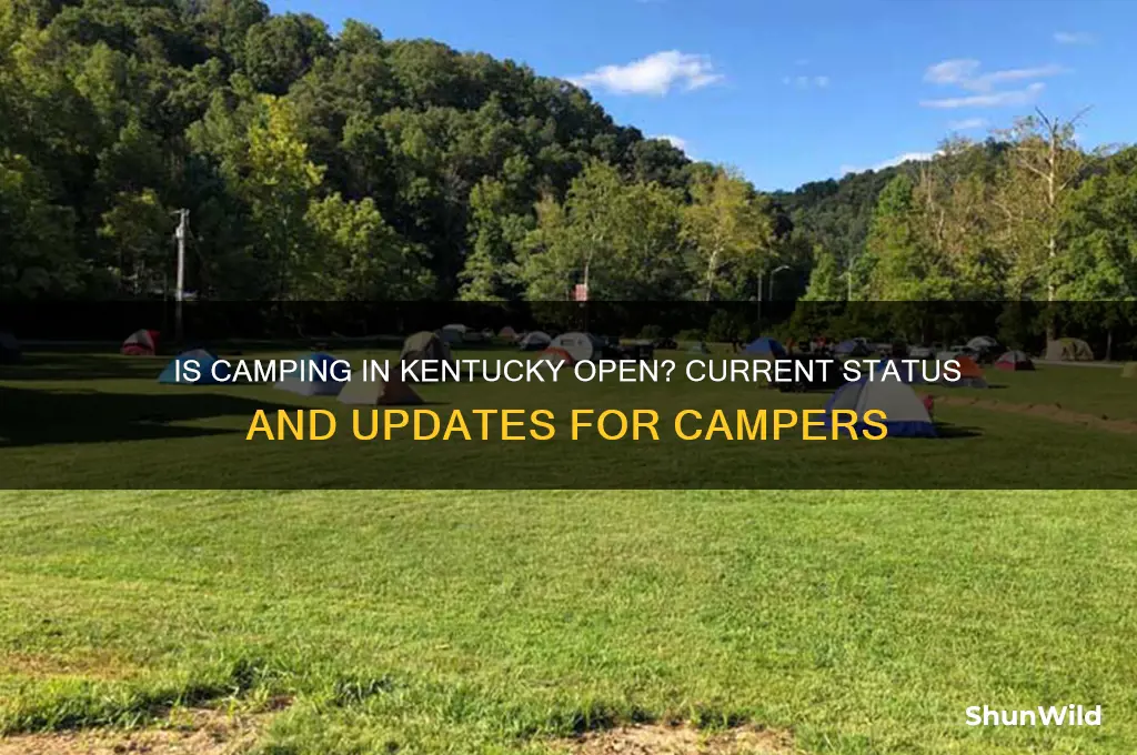 is camping in kentucky open