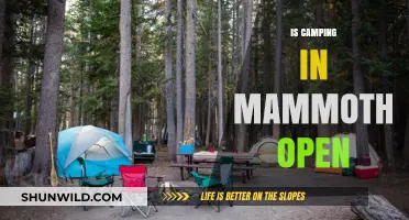 Is Camping in Mammoth Open? Current Status and Updates for Visitors