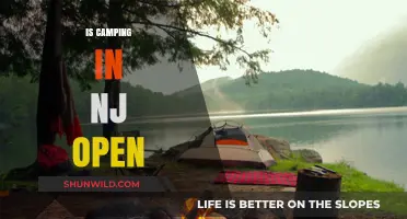 Is Camping in NJ Open? Current Status and Updates for Campers