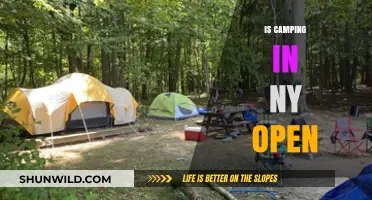 Is Camping in NY Open? A Guide to Current Campsite Status