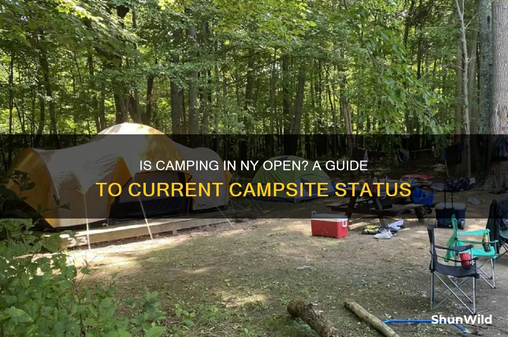 is camping in ny open