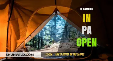Is Camping in PA Open? Current Status and Updates for Campers