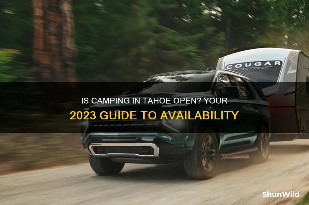 is camping in tahoe open