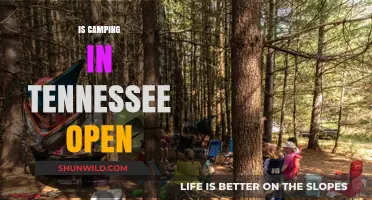Is Camping in Tennessee Open? Current Status and Updates