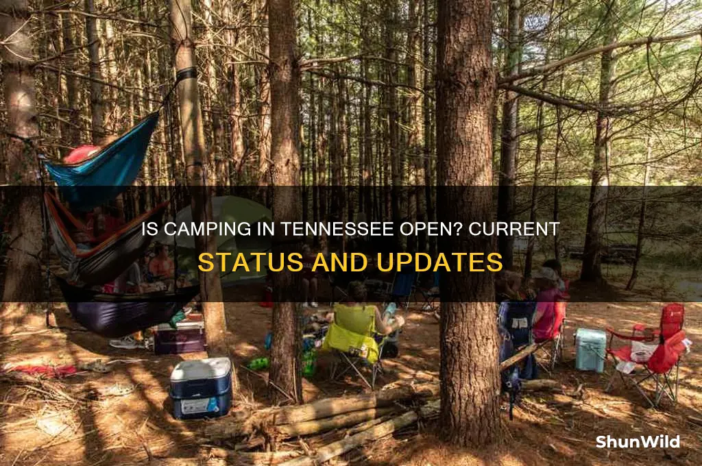is camping in tennessee open