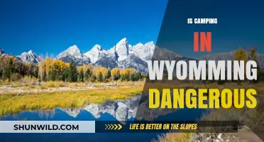 Camping in Wyoming: Navigating Wildlife, Weather, and Safety Risks