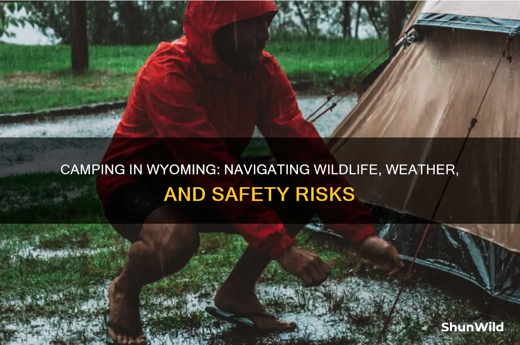 is camping in wyomming dangerous