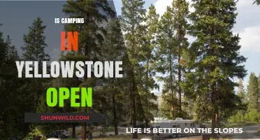 Is Camping in Yellowstone Open? Your 2023 Guide to Availability