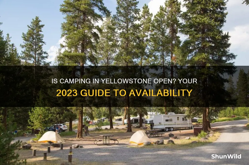 is camping in yellowstone open