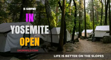 Is Camping in Yosemite Open? 2023 Updates & Essential Tips