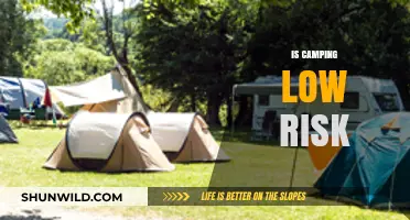 Is Camping Low Risk? Exploring Safety and Hazards in the Great Outdoors