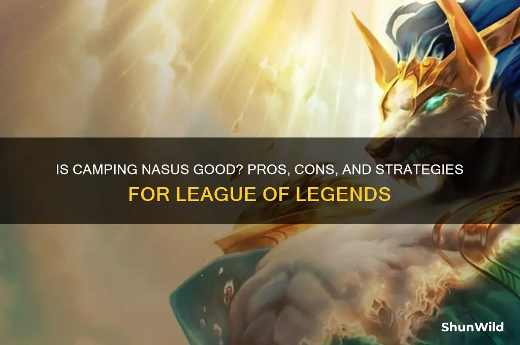 is camping nasus good