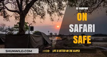 Is Camping on Safari Safe? Essential Tips for a Secure Adventure