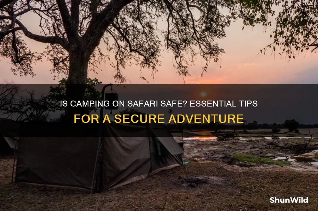 is camping on safari safe