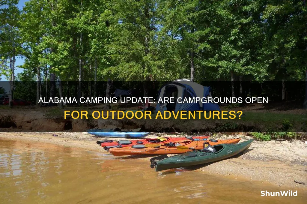 is camping open in alabama