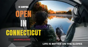 Is Camping Open in Connecticut? A Guide to Current Campsite Status