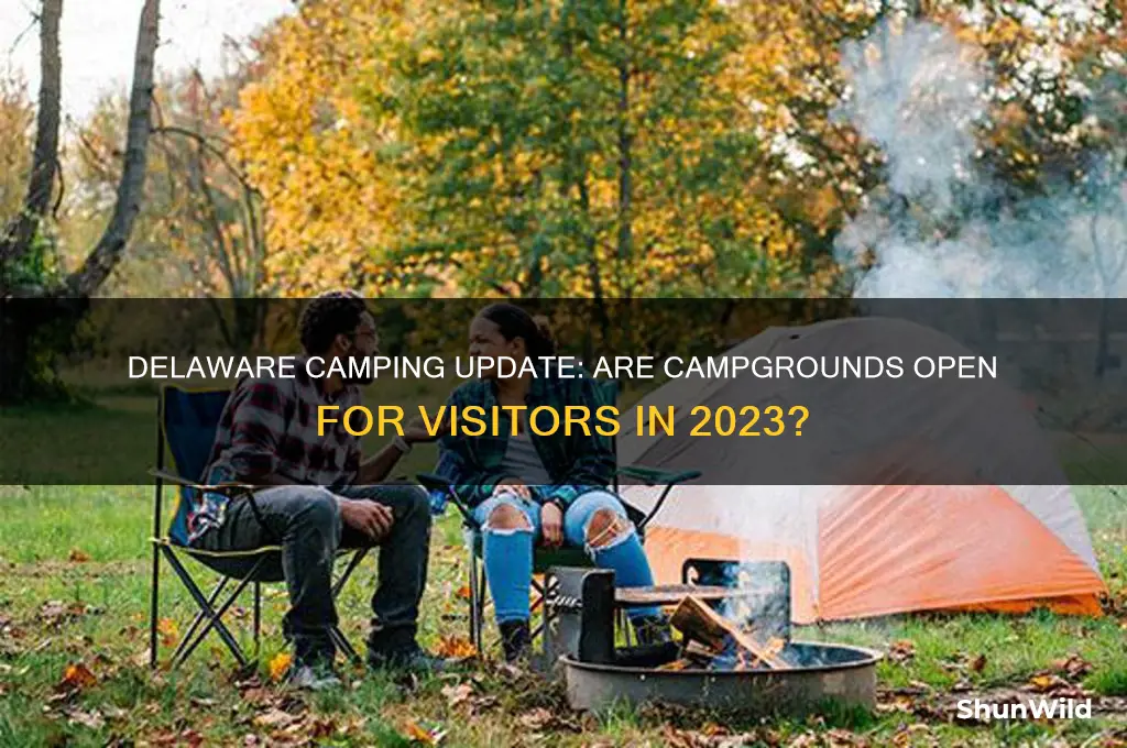 is camping open in delaware