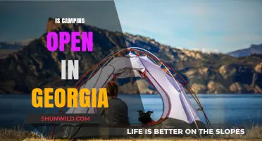 Is Camping Open in Georgia? Current Status and Best Spots to Visit