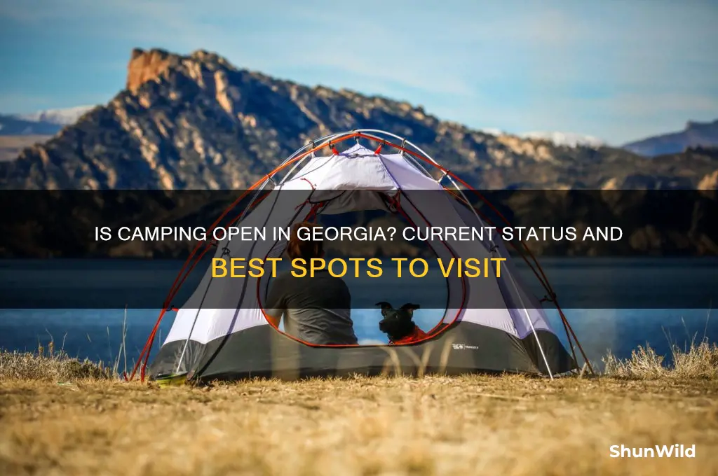 is camping open in georgia