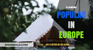 Exploring Europe's Love for Camping: Trends and Popularity Insights