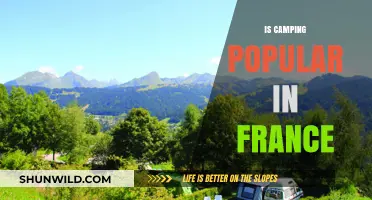 Exploring France's Love for Camping: Trends and Popularity Insights