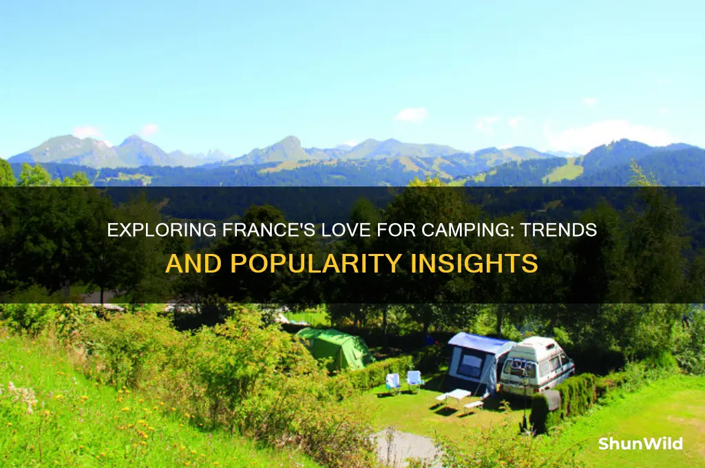 is camping popular in france