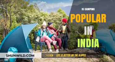 Exploring India's Love for Camping: Trends, Popularity, and Outdoor Adventures