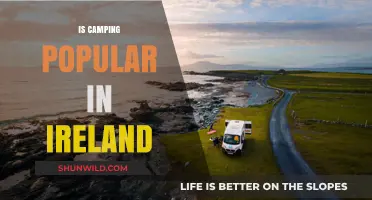 Exploring Ireland's Love for Camping: Trends and Popularity Revealed