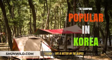 Exploring Korea's Camping Craze: Trends, Popularity, and Outdoor Adventures