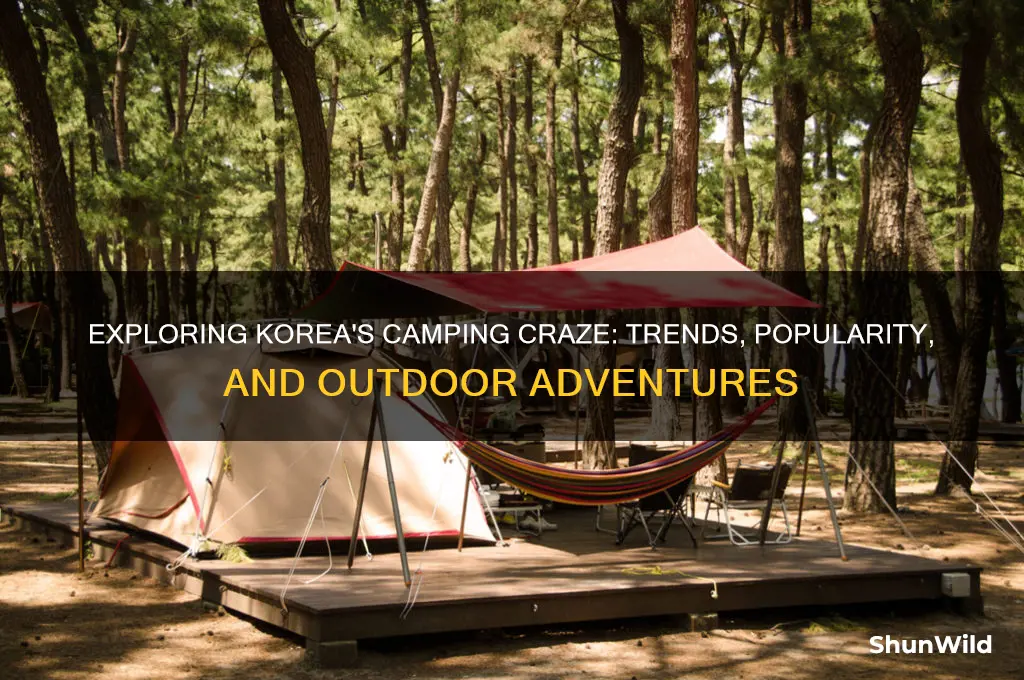 is camping popular in korea