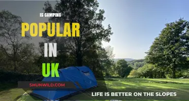 Exploring the UK's Love for Camping: Trends and Popularity