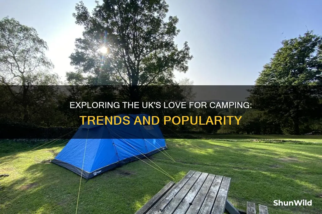 is camping popular in uk