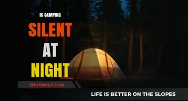 Is Camping Silent at Night? Exploring Nature's Nocturnal Soundscape
