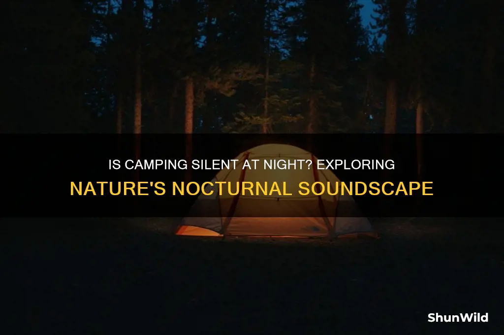is camping silent at night