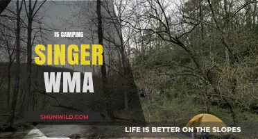 Is Camping with a Singer WMA Player Worth It? Exploring Pros and Cons