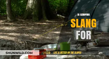 Is Camping Slang for Roughing It? Unraveling Outdoor Lingo and Myths