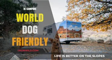 Camping World's Dog Policy: What Pet Owners Need to Know
