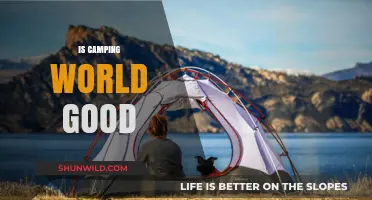 Is Camping World Worth It? A Comprehensive Review and Analysis