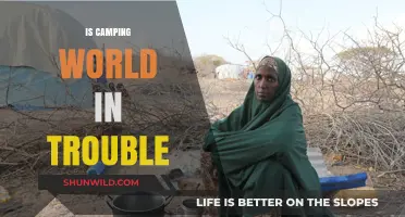Is Camping World Facing Financial Struggles and Uncertain Future?