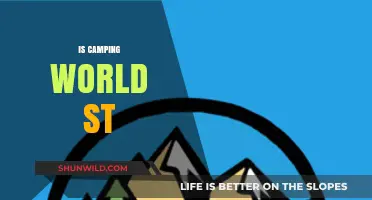 Is Camping World Stock a Smart Investment for Outdoor Enthusiasts?