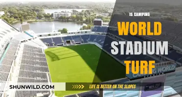 Exploring Camping World Stadium's Turf: Facts, Maintenance, and Performance Insights