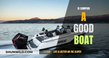 Campion Boats: Performance and Quality Reviewed