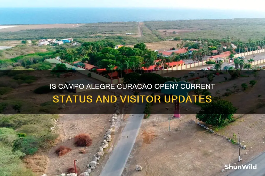 is campo alegre curacao open
